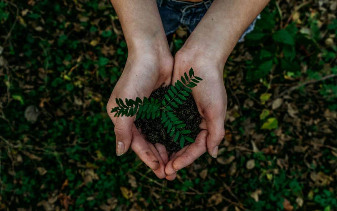 The Courage to Awaken